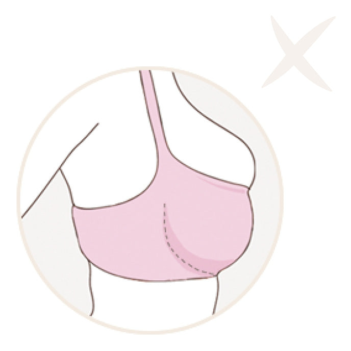 BH-guide-koerbchen-dont.jpg__PID:a1ea685f-1d75-4bd7-818e-660c1f8be138