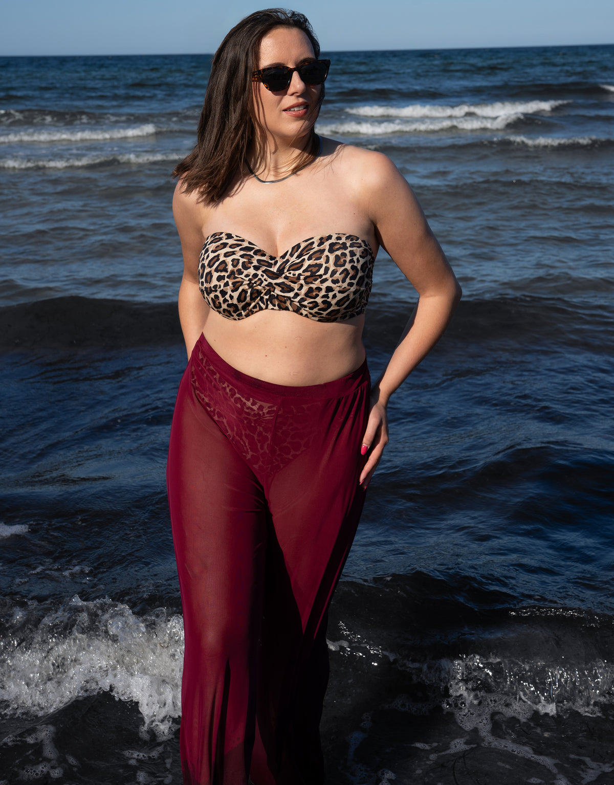 Pants Sheer Transparent Bordeaux